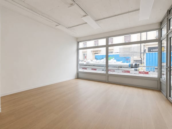 Arcade  81m2 Plainpalais 2
