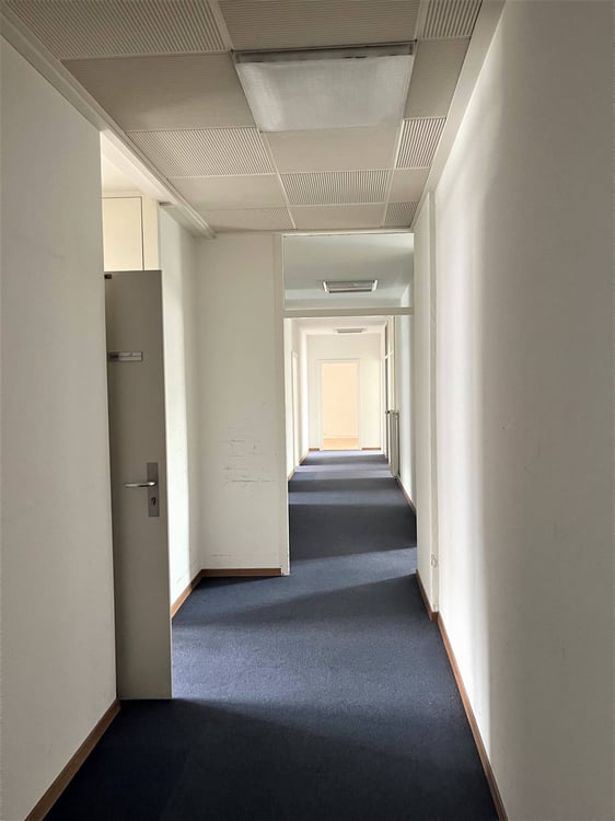 Surface très lumineuse - 305m2 bureaux 4