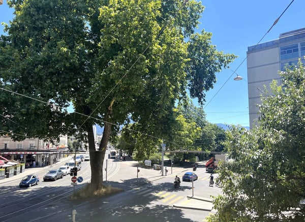 Surface de bureaux 14m2 Georges-Favon / Plainpalais 1