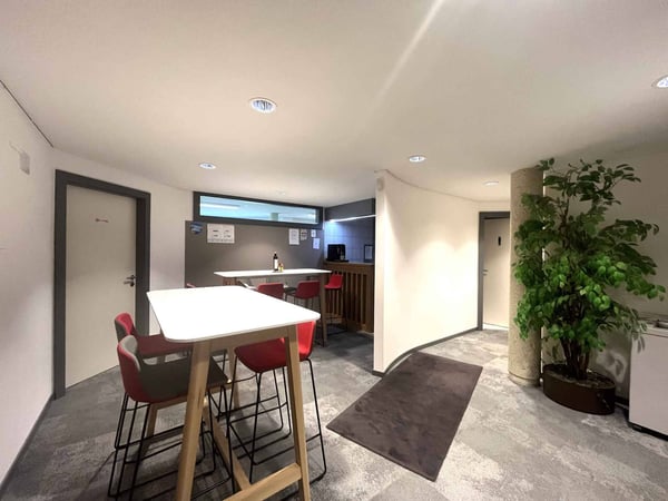 Bureaux administratifs meublés de 140 m² Carouge 6