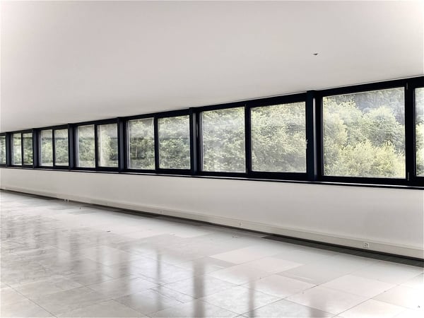 Atelier, laboratoire, locaux neufs de 300 m2 à louer à 10 minutes de Fribourg 7