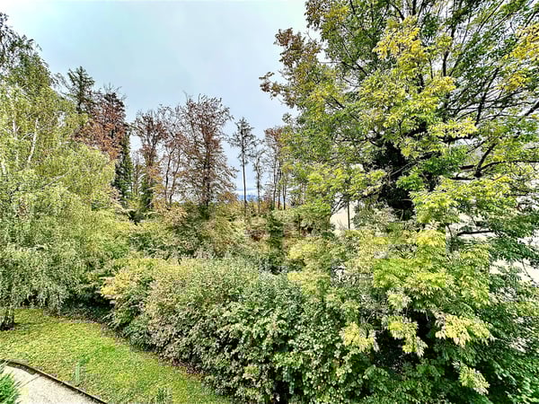 Bureaux, locaux de 220 m2 à louer à Lausanne 8