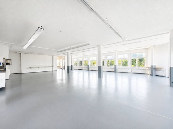 PLAIN-PIED - SURFACE COMMERCIALE & INDUSTRIELLE 1