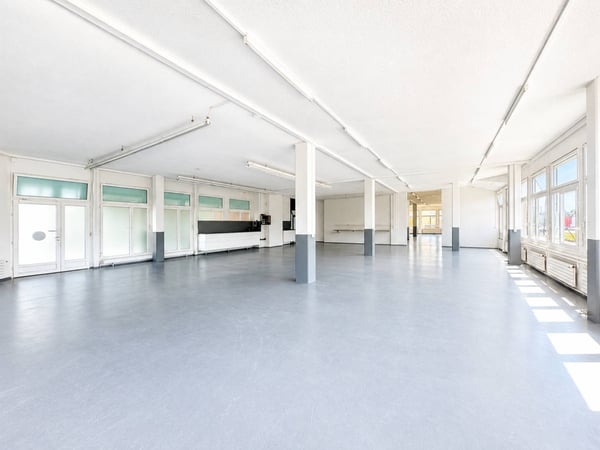 PLAIN-PIED - SURFACE COMMERCIALE & INDUSTRIELLE 2