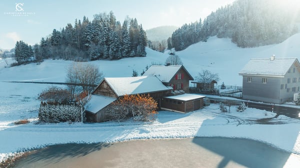 Charmantes Einfamilienhaus mit grossem Grundstück, PV-Anlage & viel Privatsphäre 18