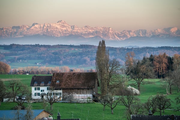Neubau-Einfamilienhaus in Helsighausen (TG) – modern, energieeffizient & naturnah 2