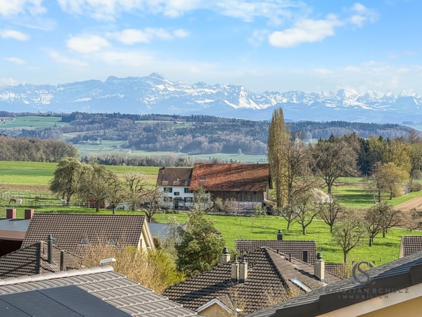 Traumhafte Aussicht - Neubau-Einfamilienhaus in Helsighausen (TG) – modern & energieeffizient! 1
