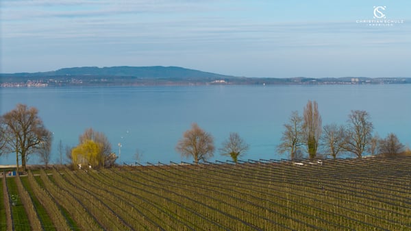 Charmantes Einfamilienhaus in erster Seereihe – eine seltene Gelegenheit 12