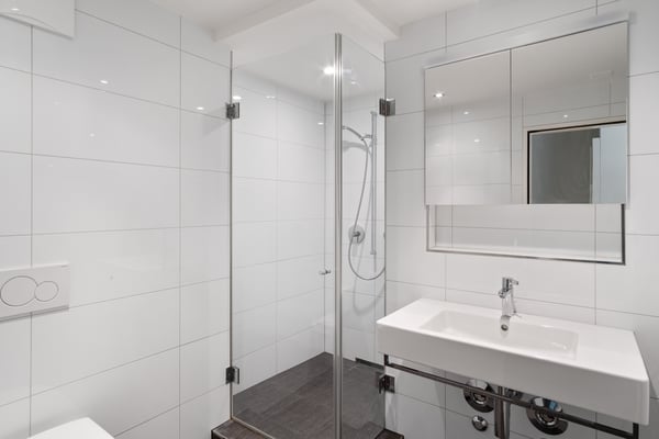 Traumhafte Wohnung im herzen Dübendorfs 2