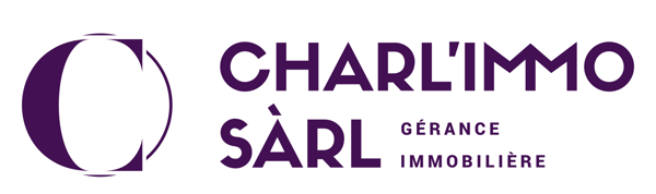 Spacieux appartement de 1.5 pièces rénové à Delémont 19