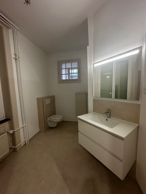 Spacieux appartement de 1.5 pièces rénové à Delémont 9