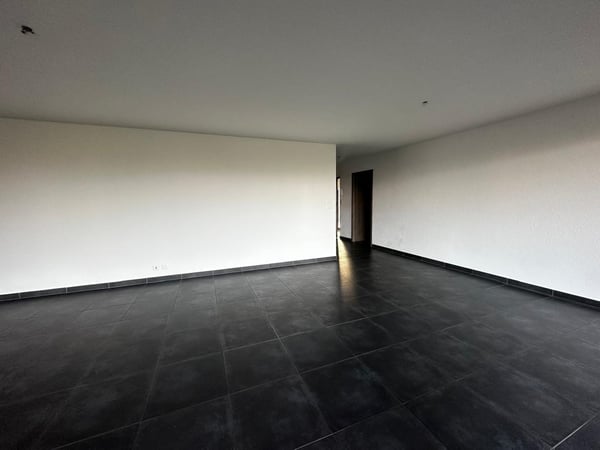 Spacieux appartement de 1.5 pièces à Delémont 3