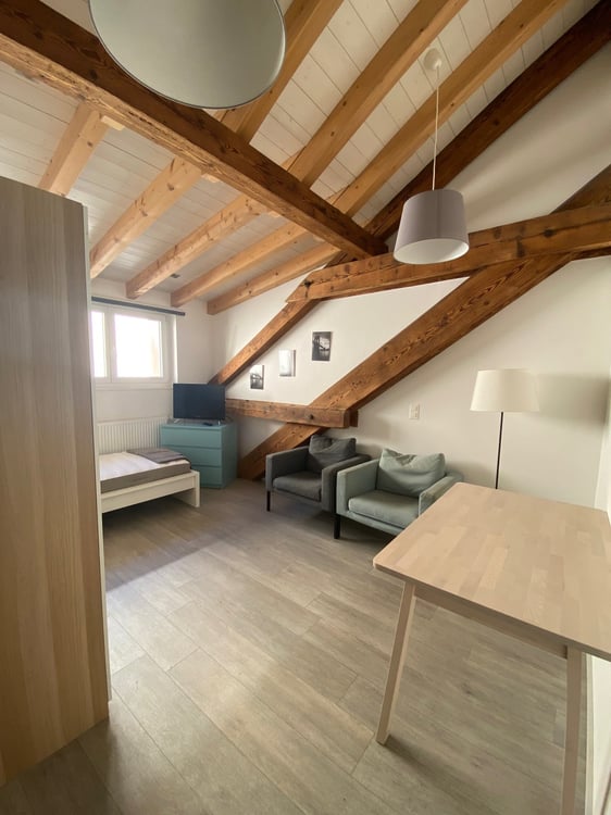 Schönes möbliertes Studio 1