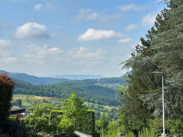 Attraktive Baulandparzelle mit Fernsicht am an erhöhter Lage in Dornach 6