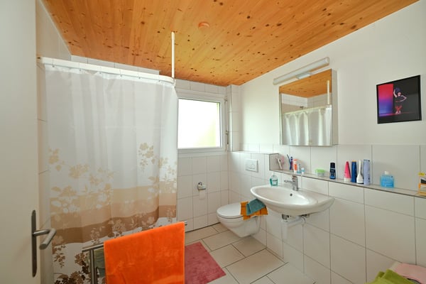 Attraktives Dreifamilienhaus/Mehrgenerationenhaus an begehrter Wohnlage in Arlesheim 18