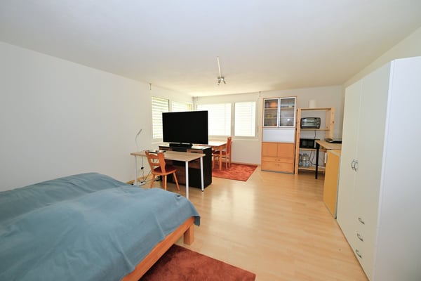 Attraktives Dreifamilienhaus/Mehrgenerationenhaus an begehrter Wohnlage in Arlesheim 22