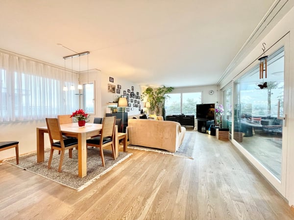 Modernes Terrassenhaus an ruhiger und zentraler Lage in Allschwil 3