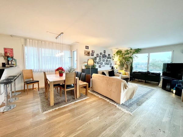 Modernes Terrassenhaus an ruhiger und zentraler Lage in Allschwil 1