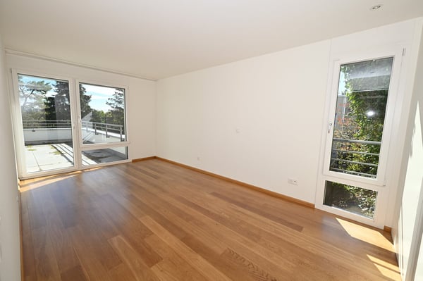 Modernes Terrassenhaus an ruhiger und zentraler Lage in Allschwil 10