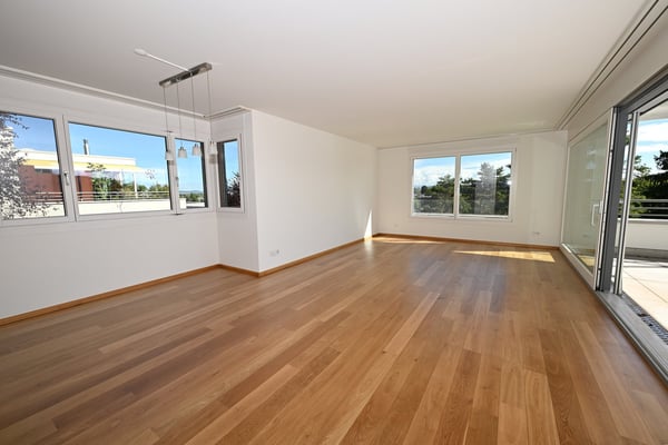Modernes Terrassenhaus an ruhiger und zentraler Lage in Allschwil 2
