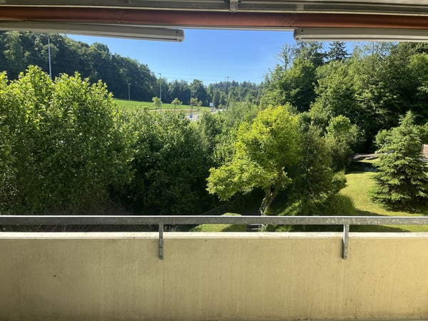 Bezugsbereite 5.5-Zimmer-Wohnung mit Balkon und schöner Aussicht in Dielsdorf 1
