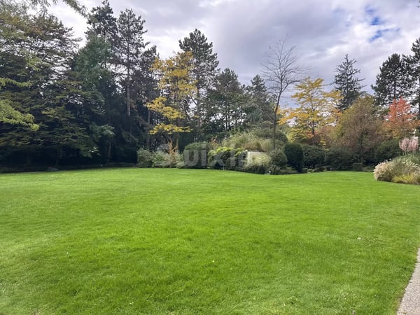 1.5 pièces idéalement situé 5