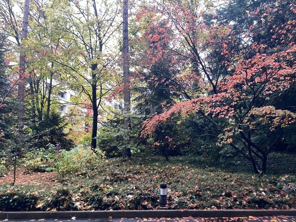 1.5 pièces idéalement situé 9