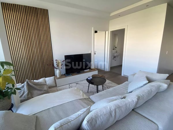 Bel Appartement rénové avec vue dégagée 2