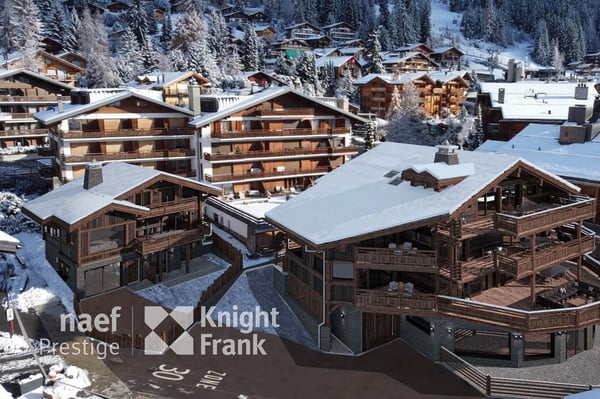 Chalet entièrement rénové, emplacement unique 4