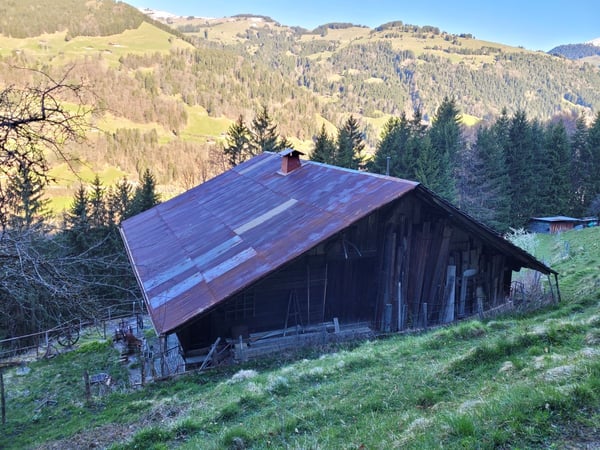 Ancienne ferme de 1916 au coeur de la nature - Val d'Illiez 6