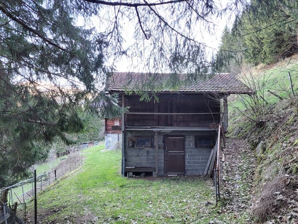 Ancienne ferme de 1916 au coeur de la nature - Val d'Illiez 8