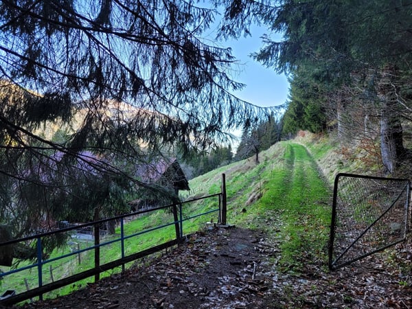 Ancienne ferme de 1916 au coeur de la nature - Val d'Illiez 10