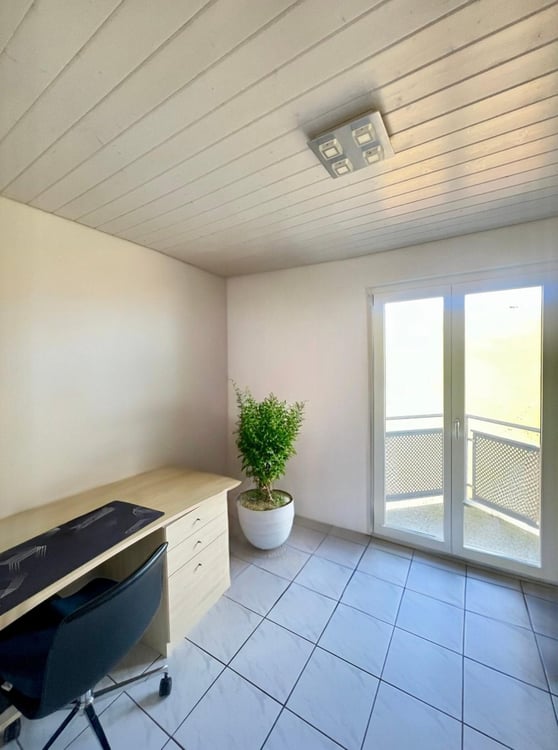 Villa individuelle 1.5 pièces avec vue panoramique à Plasselb 7