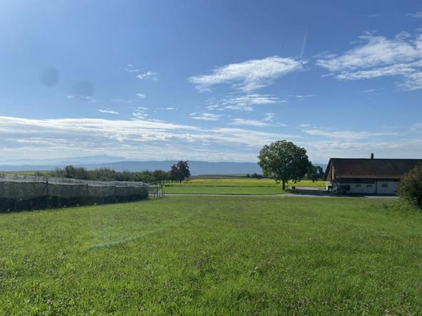 Preview image of the real estate