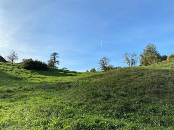 Exklusive Parzelle mit Weitsicht an gut besonnter Hanglage 8