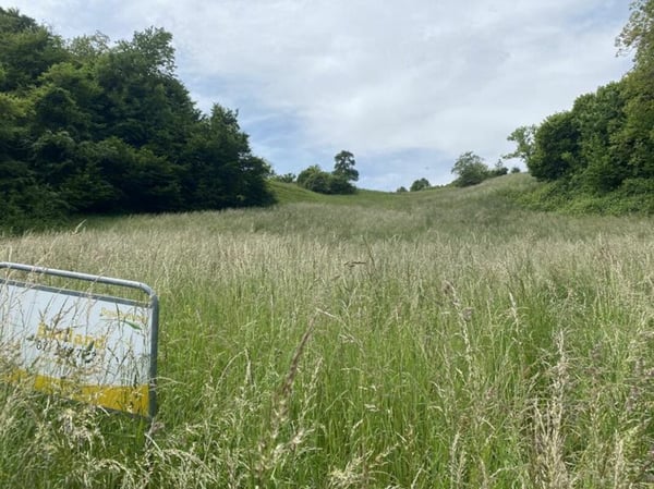 Exklusive Parzelle mit Weitsicht an gut besonnter Hanglage 3