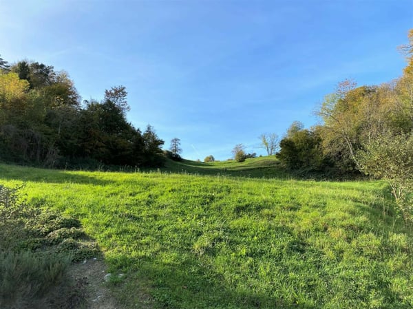 Exklusive Parzelle mit Weitsicht an gut besonnter Hanglage 7