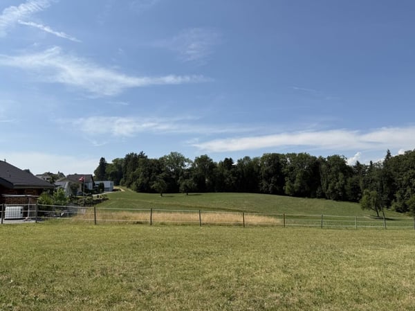 Neubau 5.5-Zi.-Doppeleinfamilienhaus an erhöhter Wohnlage mit Weitsicht in Amlikon-Bissegg (Haus A) 4