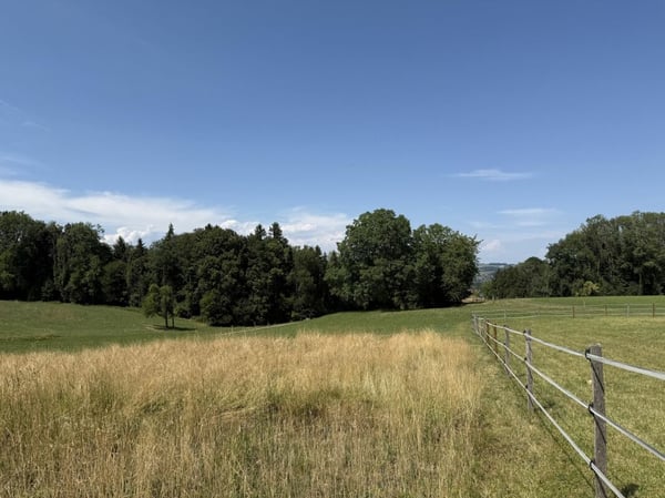 Neubau 5.5-Zi.-Doppeleinfamilienhaus an erhöhter Wohnlage mit Weitsicht in Amlikon-Bissegg (Haus A) 8