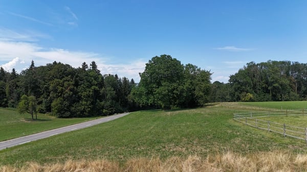 Neubau 5.5-Zi.-Doppeleinfamilienhaus an erhöhter Wohnlage mit Weitsicht in Amlikon-Bissegg (Haus A) 6