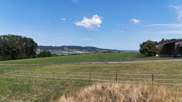 Neubau 5.5-Zi.-Doppeleinfamilienhaus an erhöhter Wohnlage mit Weitsicht in Amlikon-Bissegg (Haus A) 2