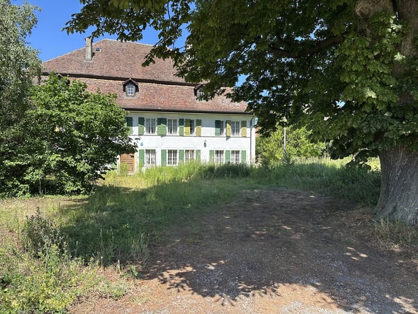 Immeuble de caractère à rénover avec potentiel de 5 logements 5