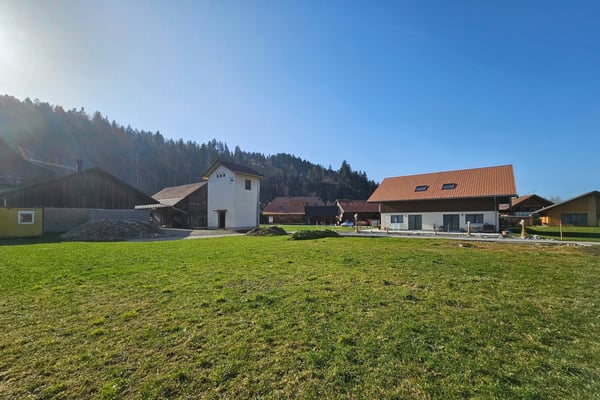 Neubau-Einfamilienhaus in ruhigem Quartier in Eggiwil 6