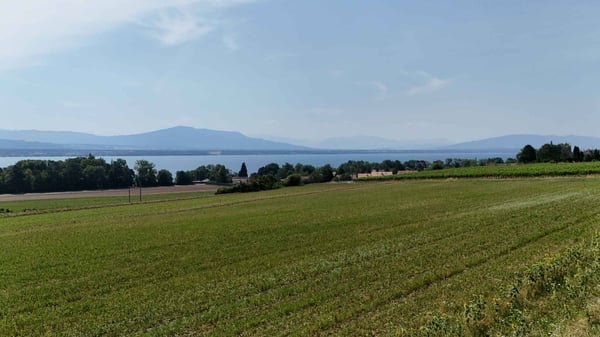BOIS-NEUF à Crans-près-Céligny 8