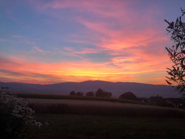 Appartement de 3.5 pièces en attique avec vue sur le Jura 6