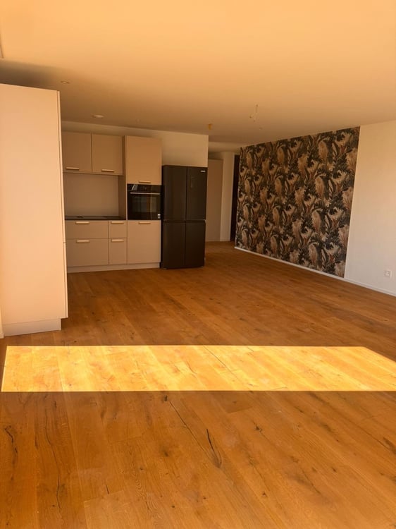 Grosszügige 4.5-Zimmer Attika Neubauwohnung an ruhiger Lage in Erlen mit grosser Attika-Terrasse 9