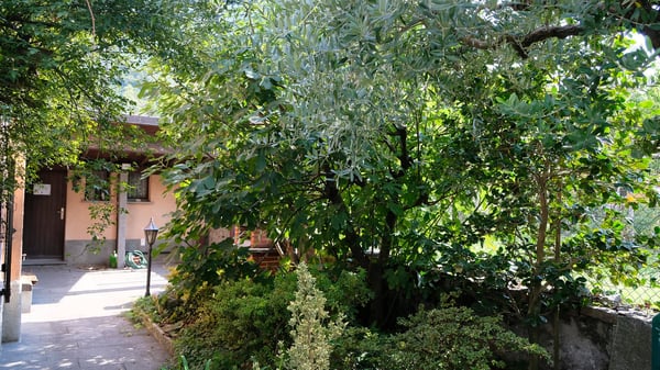 Affascinante casa unifamiliare nel cuore di Giubiasco (TI) 12