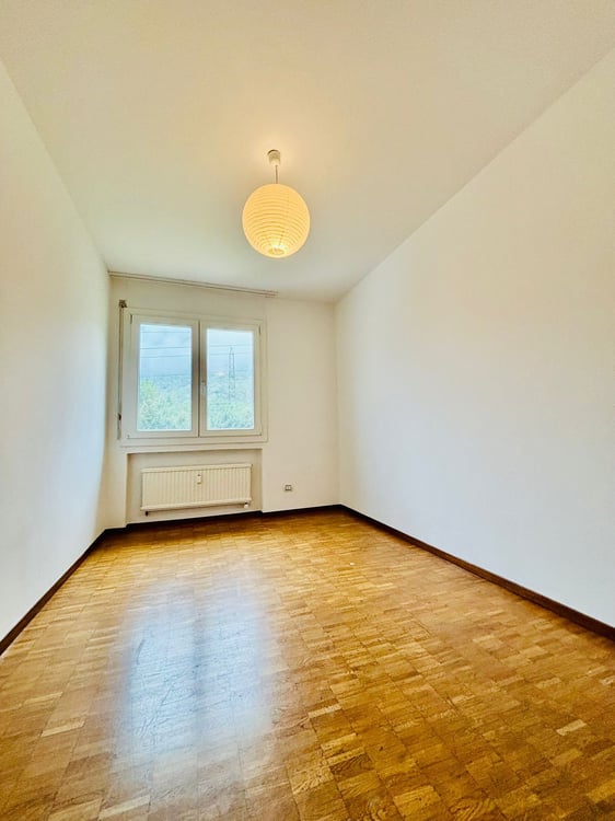 Appartamento con vista e garage a Bodio 19