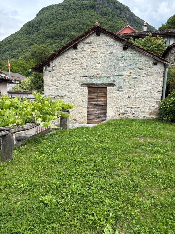 Casa unifamiliare di nucleo ad Arbedo 19