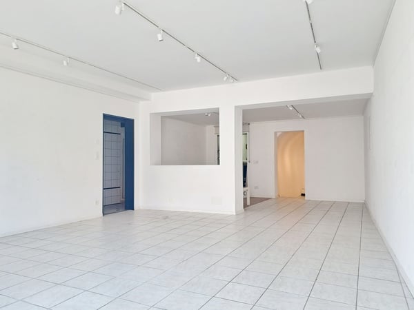 PLAINE 11, local commercial au centre de la ville 2